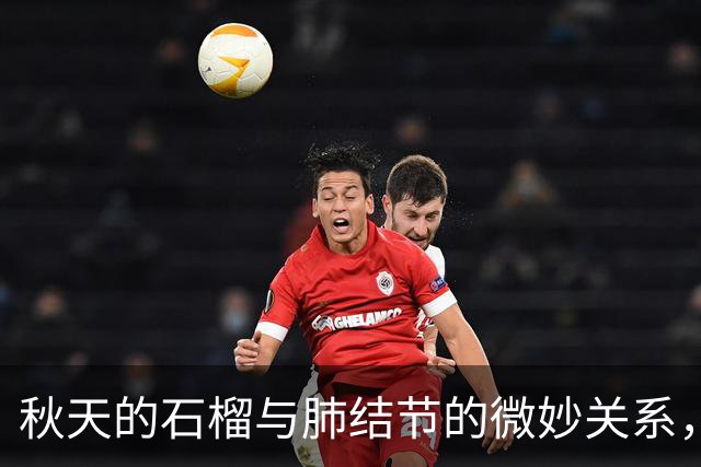 秋天的石榴与肺结节的微妙关系，听说可以改善哦！